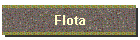 Flota