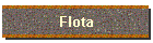 Flota